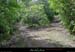 20010503_darboussieres_sentier_3