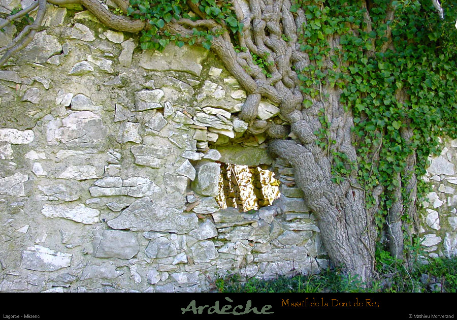 20010407_ruinedemezenc_10