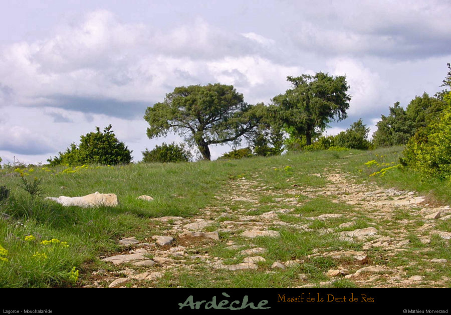 20010503_rez_moucharalede_1