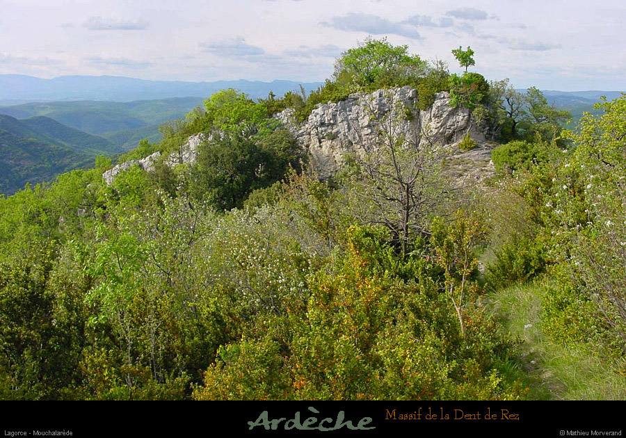 20010503_rez_moucharalede_couderocheux_1
