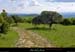 20010503_rez_moucharalede_2