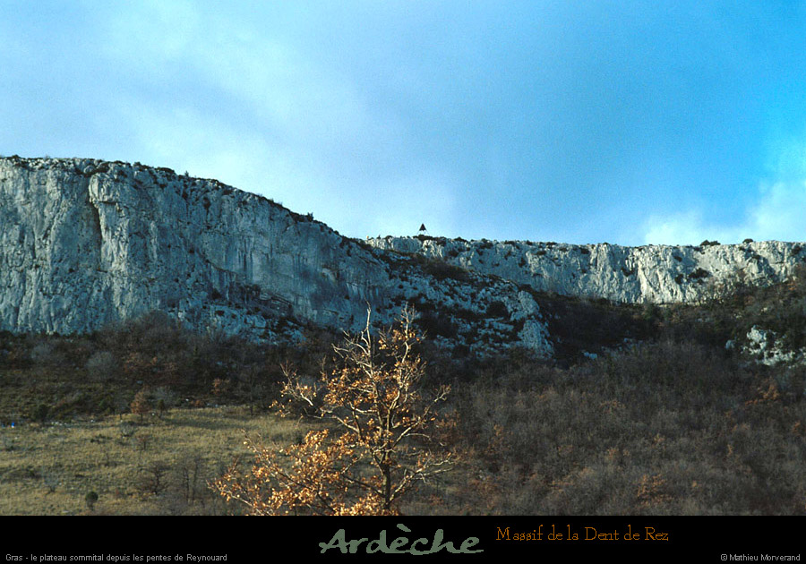 19950300_dentderez_borneetplateau