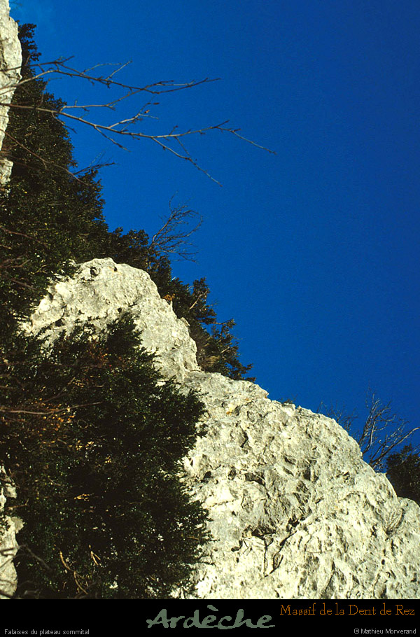 19950300_dentderez_paysage_5