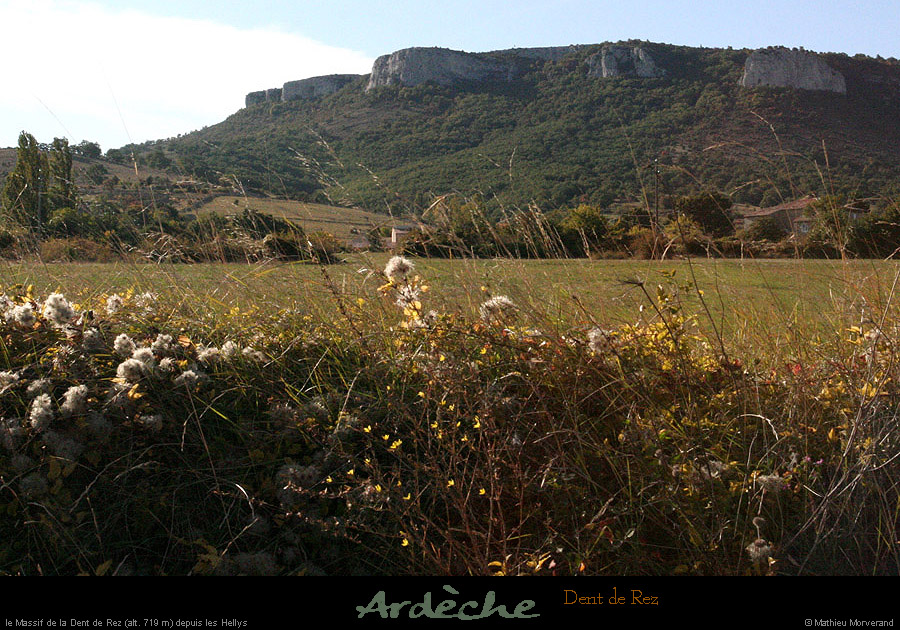 20081004_dentderezdepuisleshelys