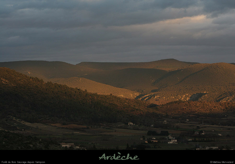 20070225_boissauvagedesampzon5