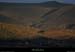 20070225_boissauvagedesampzon2