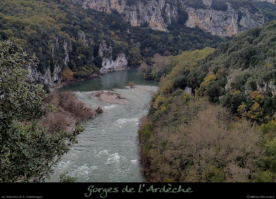 20141111_branchesparav3