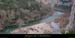 20021208_branches1