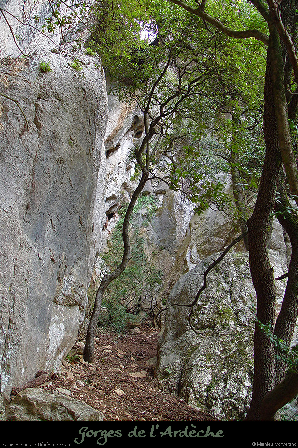 20030330_devesdevirac_ampa_falaiseamont_trou1inf1