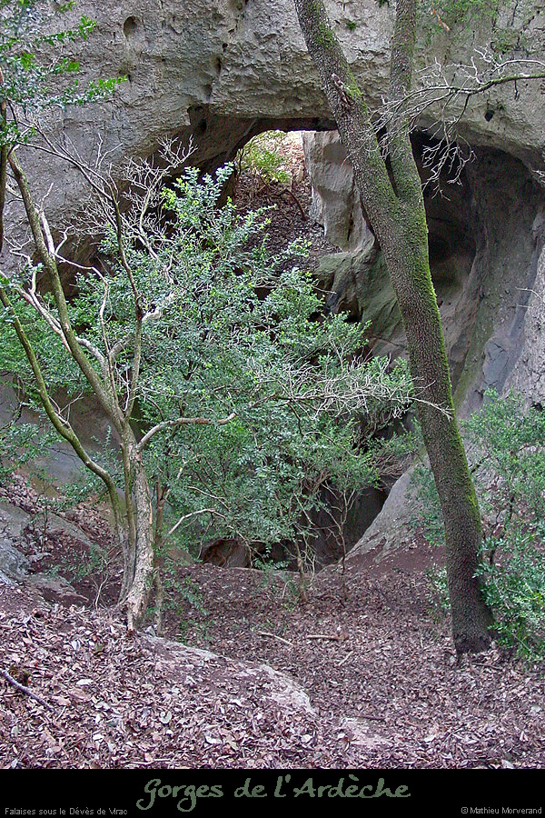 20030330_devesdevirac_ampa_falaiseamont_trou1sup1