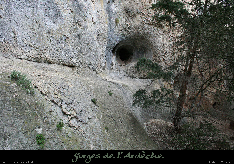 20080419_devesdeviracpieddefalaise3
