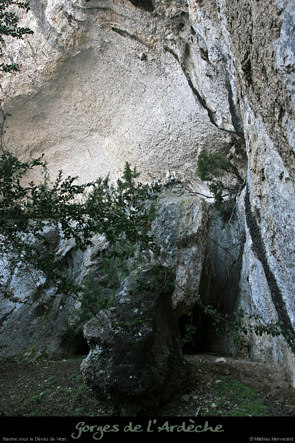 20110209_ssdevesdeviracampa_baume1_1
