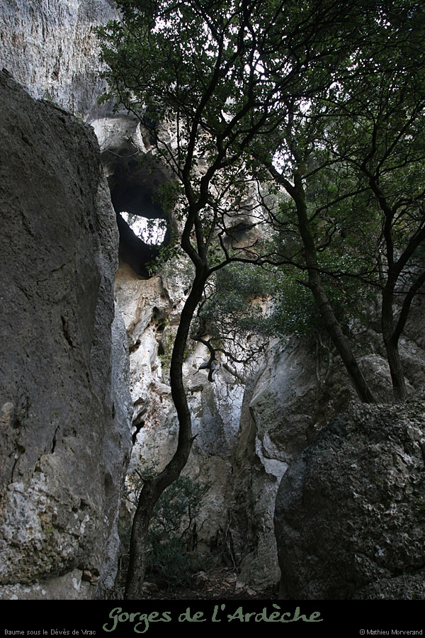20110209_ssdevesdeviracampa_baume2_10