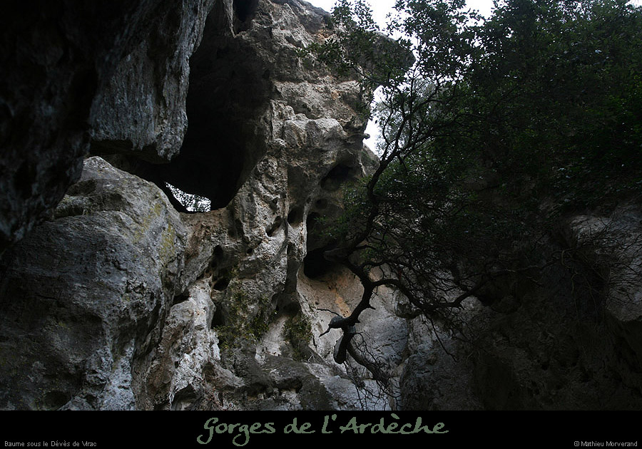 20110209_ssdevesdeviracampa_baume2_12