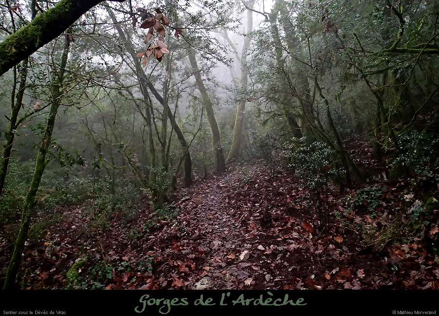 20151216_sentierssdevesdevirac1