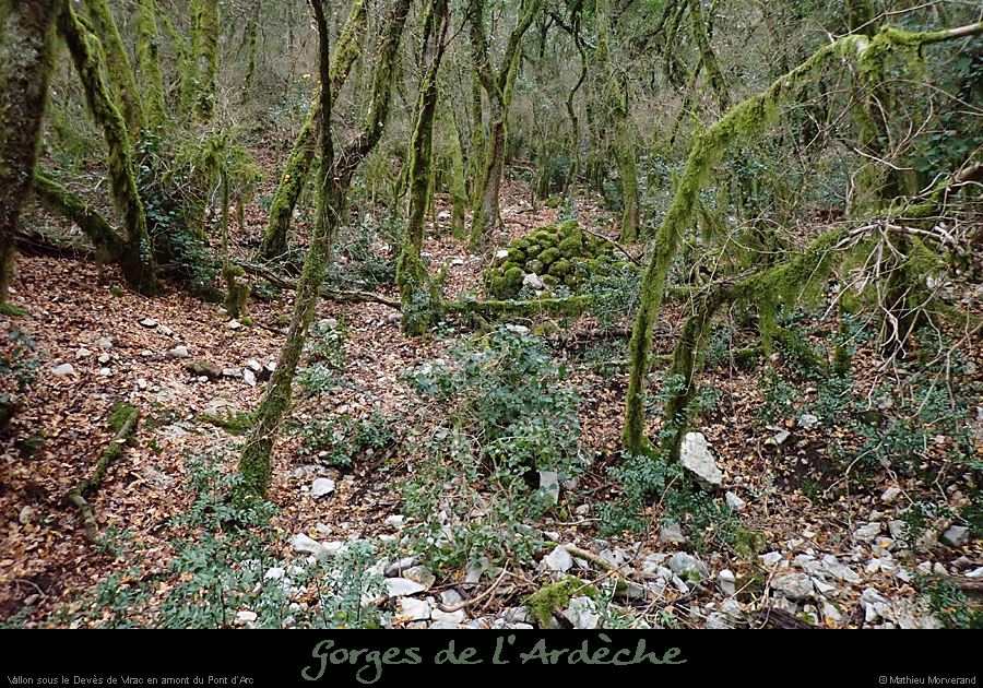 20191204_devesvirac