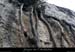 20110209_ssdevesdeviracampa_baume1_9