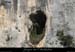 20110410_falaise_devesdevirac5