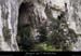 20110421_falaisesssdevesdevirac1