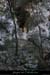 20120205_grottessdevesdevirac