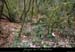 20191204_devesvirac