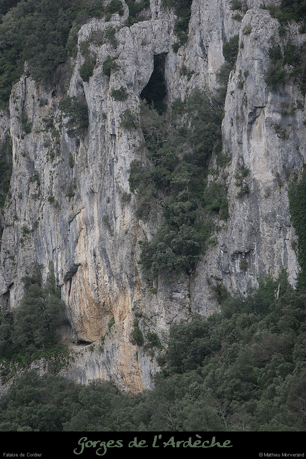 20070225_cordierfalaise