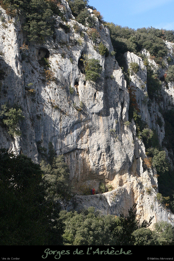20071028_cordiervire
