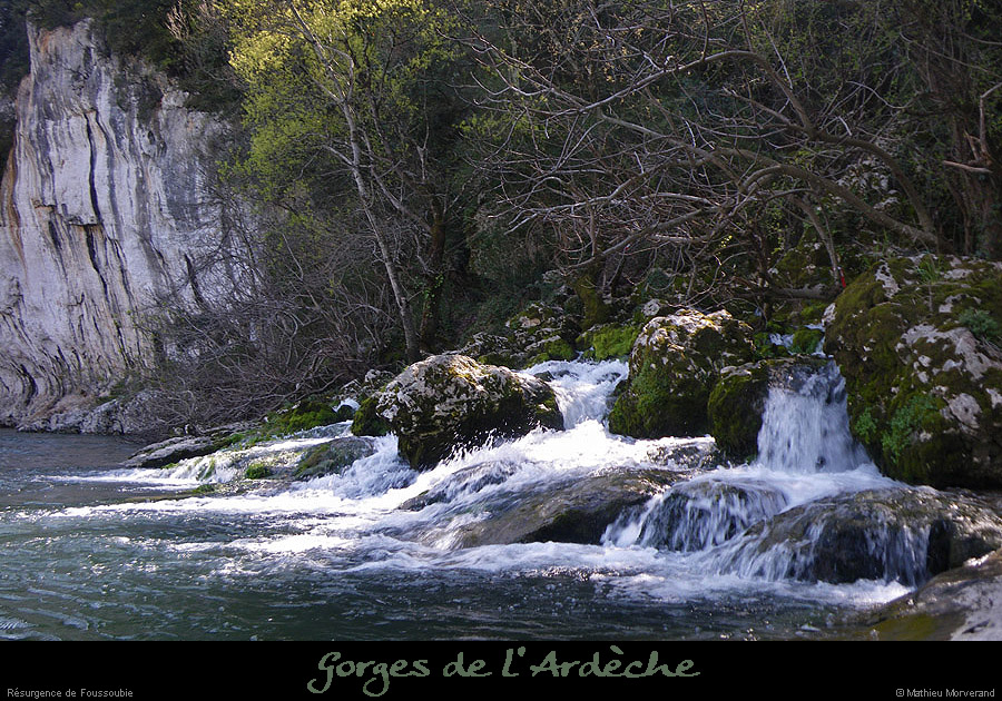 20100406_resurgencefoussoubie