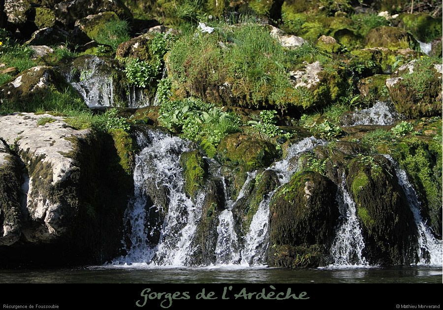 20110410_foussoubie_ressurgence7