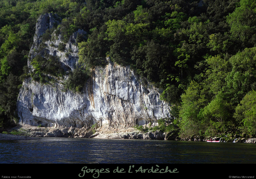 20110413_foussoubiefalaiseparlamont