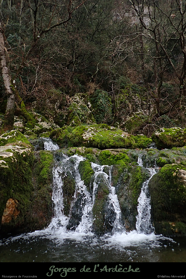 20200121_030