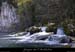 20100406_resurgencefoussoubie