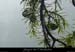 20021213_p00rieusset2