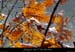 20021213_p00rieusset3