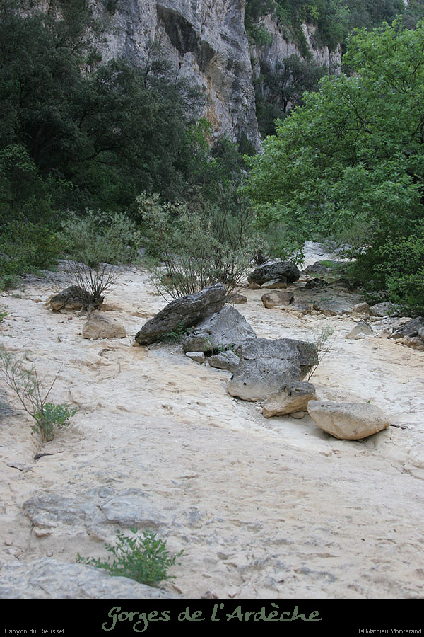 20070428_rieusset2
