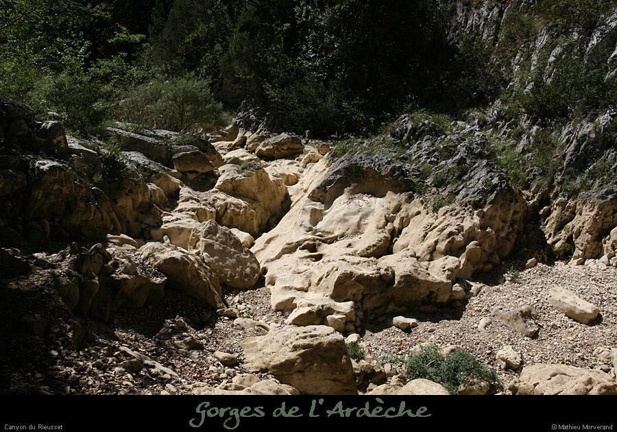 20100821_rieussetp01a
