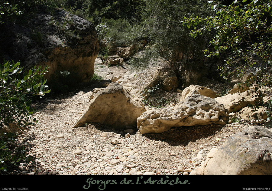 20100821_rieussetp01c