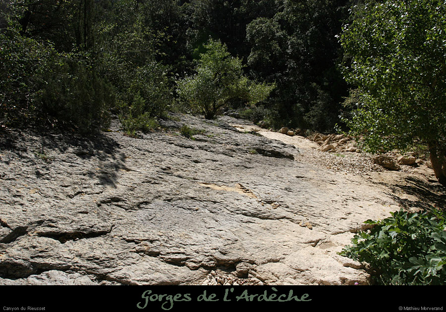 20100821_rieussetp01f
