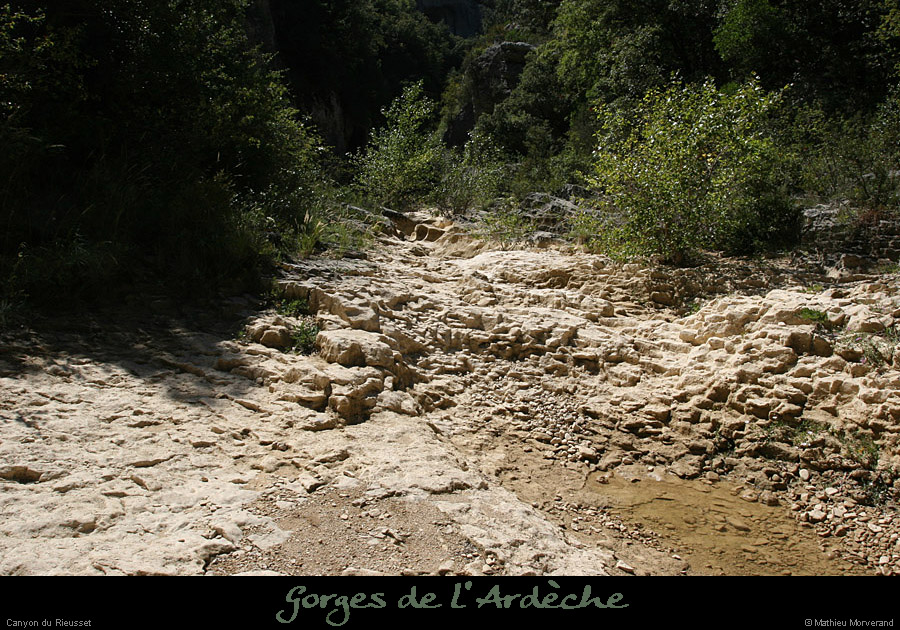 20100821_rieussetp03