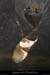 20090603_canyonrieusset_etroits4