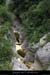 20110608_rieusset09