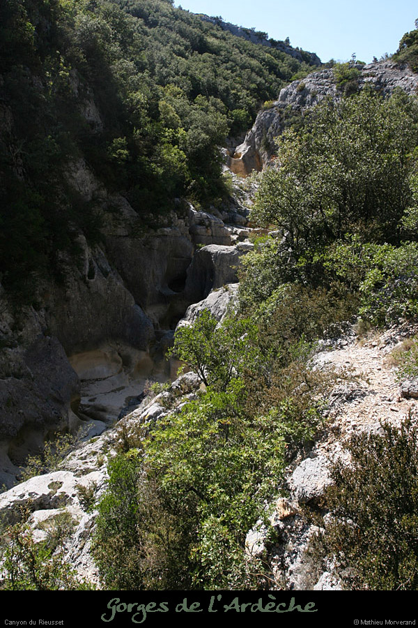 20100821_rieussetp06b