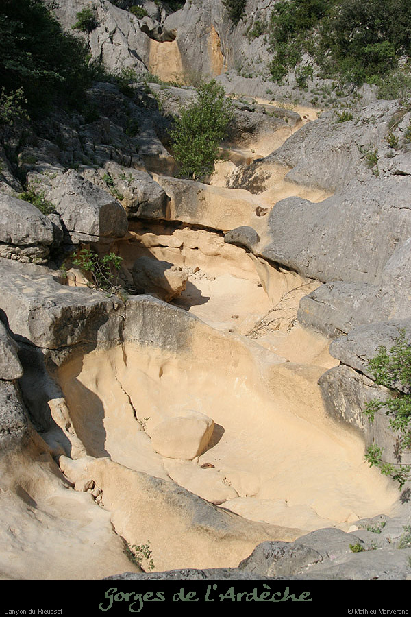 20070428_rieusset4