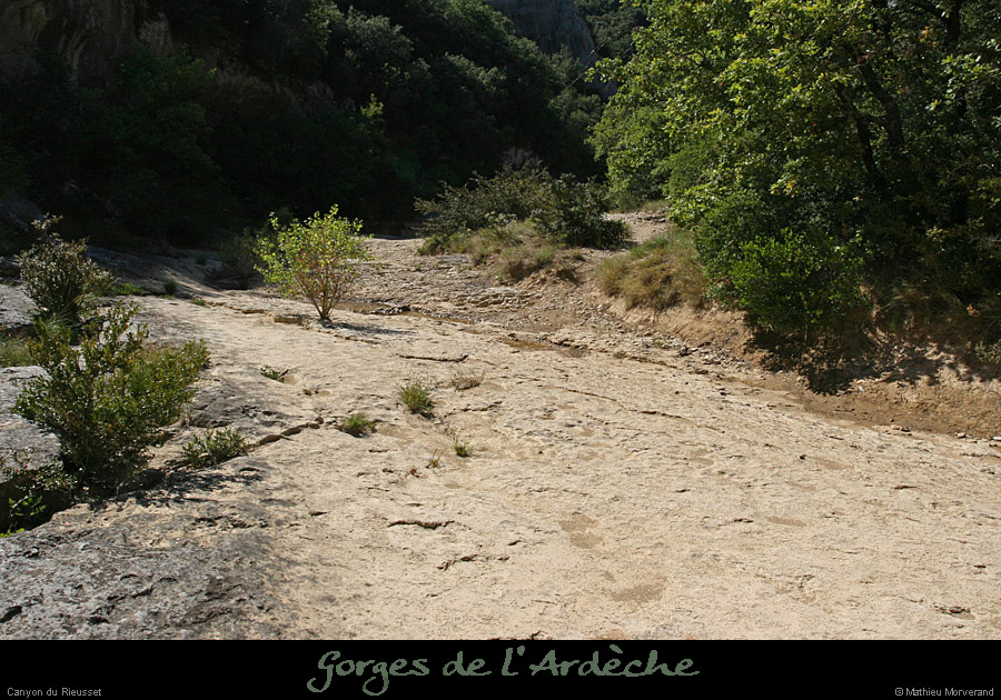 20100821_rieussetp10a
