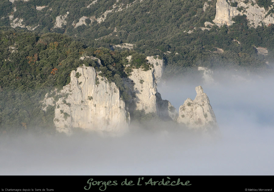 20101113_charlemargnedepuisleserredetourre2
