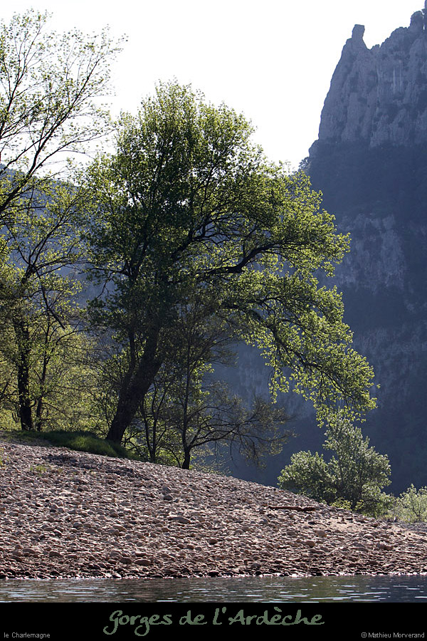 20110410_charlemagnerocher_deambranches1