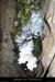 20110209_colducharlemagne_cheminee1