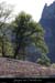 20110410_charlemagnerocher_deambranches1