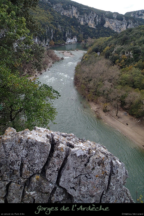 20141111_branchesparav1