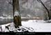 20011214_amptdarcrd1